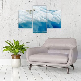Obraz - Polárny medveď (90x60 cm)