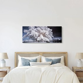 Obraz - Snehobiely strom (120x50 cm)
