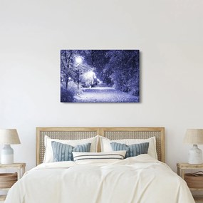 Obraz - Čarovná zimná noc (90x60 cm)
