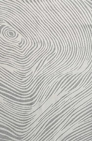TZ Sivý obdĺžnikový pruhovaný koberec Strado Polo Cloud vzor zebra Rozmer: 160x230 cm