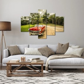 Obraz - auto veterán v prírode (150x105 cm)
