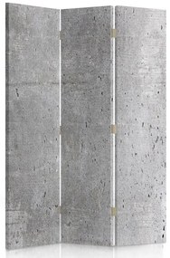 Gario Paraván Textúra betónu Rozmery: 110 x 170 cm, Prevedenie: Klasický paraván