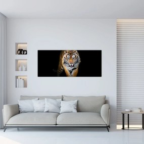 Obraz - Tiger (120x50 cm)