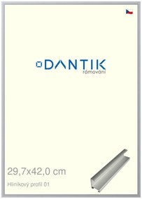 DANTIK rám na obraz 29,7x42 | ALU Stříbrná matná (Plexi Čiré)