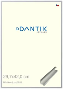 DANTIK rám na obraz 29,7x42 | ALU Stříbrná matná (Plexi Čiré)