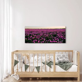 Obraz - Lúka fialových tulipánov (120x50 cm)