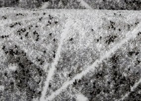 Koberce Breno Kusový koberec VICTORIA 8044 - 0644, sivá, viacfarebná,120 x 170 cm