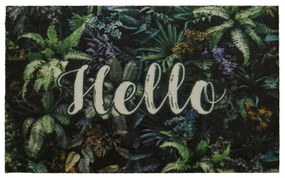 Rohožka 50x80 hello 18 01060102