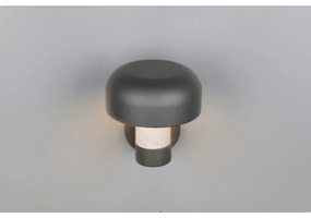 Nástenné vonkajšie svietidlo (výška 24,5 cm) Fraser – Trio