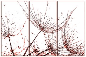 Obraz na plátne - Pampeliškové semienka s kvapkami vody 1202KB (135x90 cm)