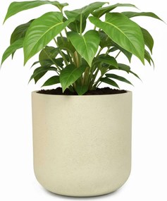 Okrúhly kvetináč CHICO, sklolaminát, priemer 40 x výška 40 cm, krémový