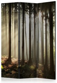 Artgeist Paraván - Coniferous forest [Room Dividers]