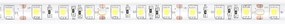 ECOLIGHT LED pásik - 5050 - 12V - 5m - 72W - 300 diód - IP63 - teplá biela