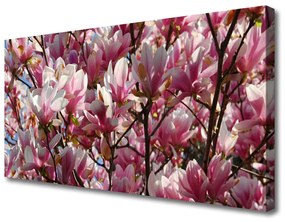 Obraz Canvas Vetvy kvety rastlina 125x50 cm
