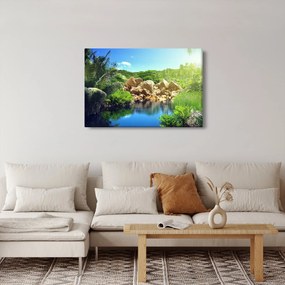 Obraz jazera v Seychelskej džungli (90x60 cm)