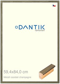 DANTIK rám na obraz 59,4x84 | Metalli oidati champagne (Plexi Čiré)
