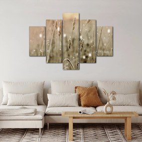 Obraz - Harmonická lúka (150x105 cm)