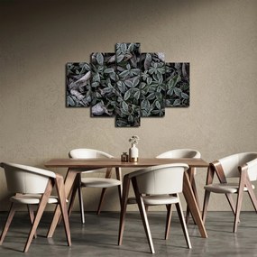 Obraz - Zamrznuté rastliny (150x105 cm)
