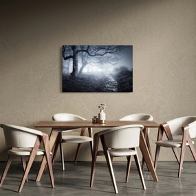 Obraz - Cesta v hmle (90x60 cm)