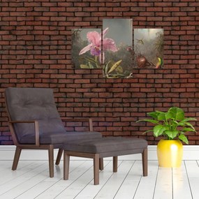 Obraz - Martin Johnson Heade, Cattleya Orchid and Three Hummingbirds, reprodukcia (90x60 cm)