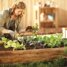 Impregnovaný drevený záhon na zeleninu s rozmermi 200 x 120 x 27 cm