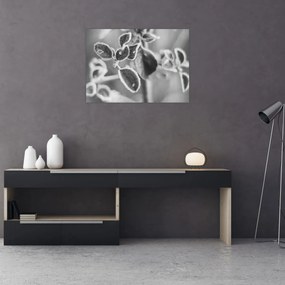 Sklenený obraz - Príroda na jeseň (70x50 cm)