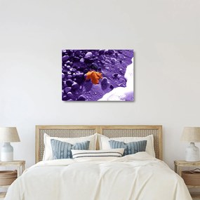 Sklenený obraz - Morská pláž (70x50 cm)
