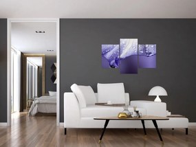 Obraz - Okvetný lístok s kvapkami (90x60 cm)