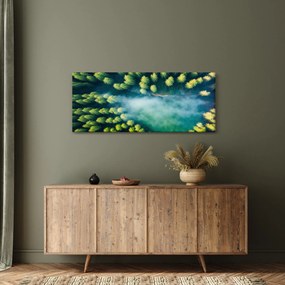 Obraz - Hmlou zahalený les (120x50 cm)