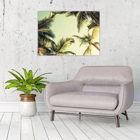 Sklenený obraz s kokosovými palmami (70x50 cm)