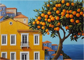 Obraz - Pomarančovník (70x50 cm)