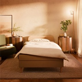 Čalúnená posteľ CASPE Velvet 80×200 cm svetlosivá
