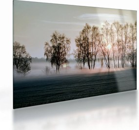 Sklenený obraz - Ranná sychravosť (70x50 cm)