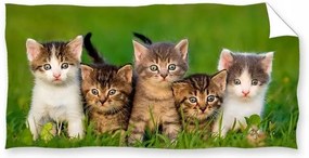 Bavlnená osuška s mačiatkami 70x140