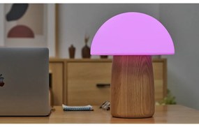 Stmievateľná stolová lampa v prírodnej farbe so skleneným tienidlom (výška 32 cm) Alice - Gingko