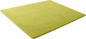 TZ Zelený jednofarebný obdĺžnikový koberec Polar 200x300