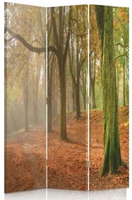 Gario Paraván Jeseň v lese Rozmery: 110 x 170 cm, Prevedenie: Klasický paraván