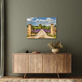 Sklenený obraz - Levanduľové cesty (70x50 cm)