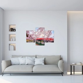 Obraz - Hirosaki, Japonsko (90x60 cm)
