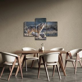 Obraz - Vyjúci vlk (90x60 cm)