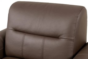 Kožené kreslo FELIS, hnedá