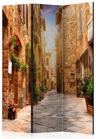 Artgeist Paraván - Colourful Street in Tuscany [Room Dividers]