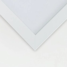 Gario Plagát Akvarel shell Farba rámu: Bez rámu, Rozmery: 20 x 30 cm