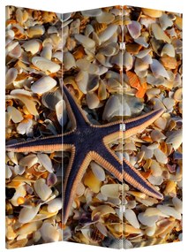 Paraván - Morská hviezdica (126x170 cm)