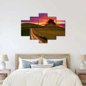 Obraz poľa pri západe slnka (150x105 cm)