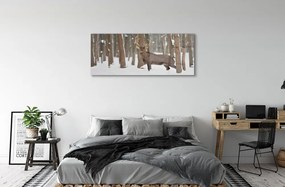 Obraz na akrylátovom skle Jeleň zimné les 120x60 cm