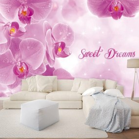 Fototapeta - Orchidey (254x184 cm)