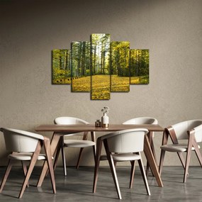 Obraz - les v jeseni (150x105 cm)
