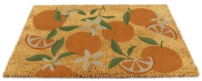 Rohožka z kokosového vlákna 40x60 cm Orange – Artsy Doormats