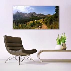 Obraz plexi Hala góry droga natura łąka 120x60 cm